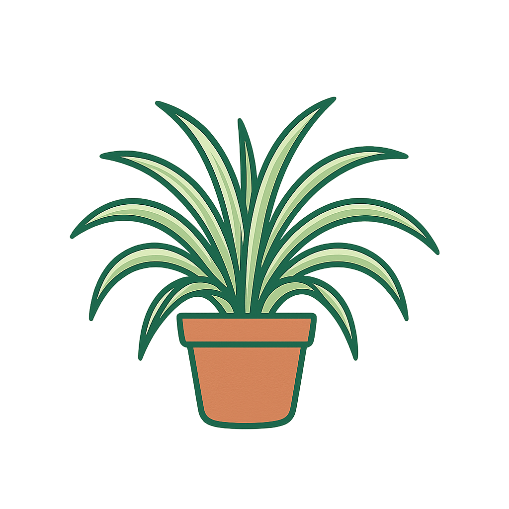 Spider Plant Logo